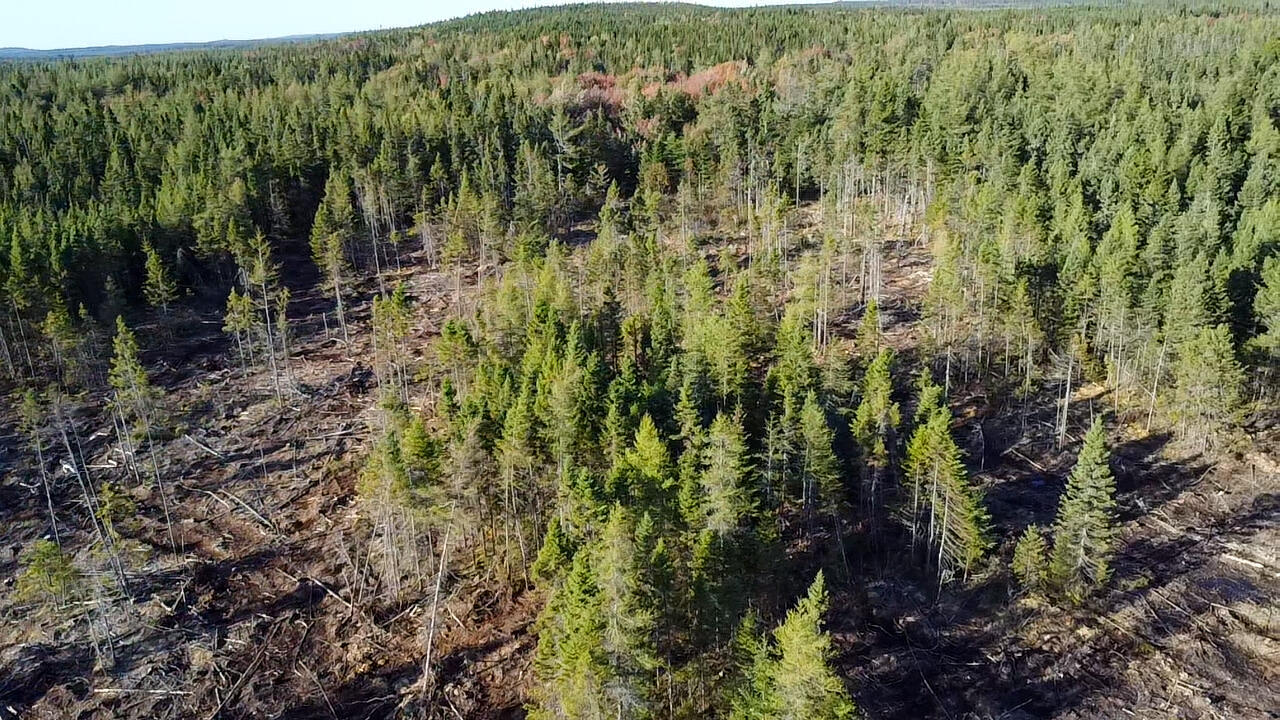 06 Lots Road Cutler, ME 04626 - Photo 10 of 23