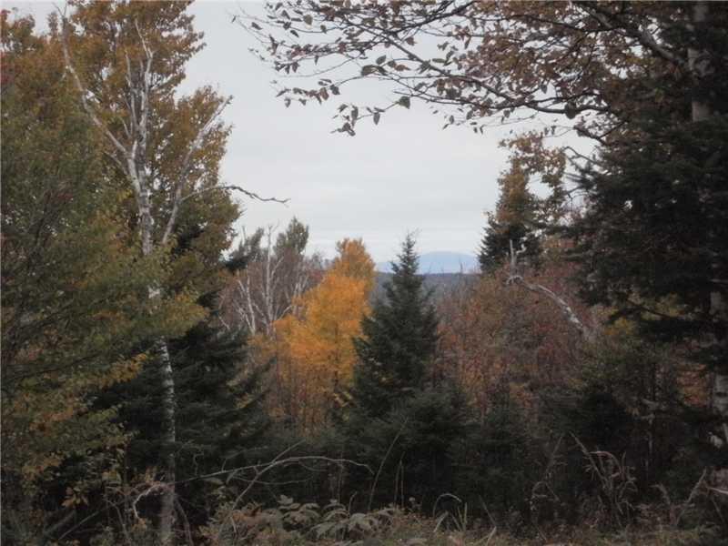 Lot 2-6 Lot Road West Forks, ME 04985 - Photo 5 of 8 Land/Lot.