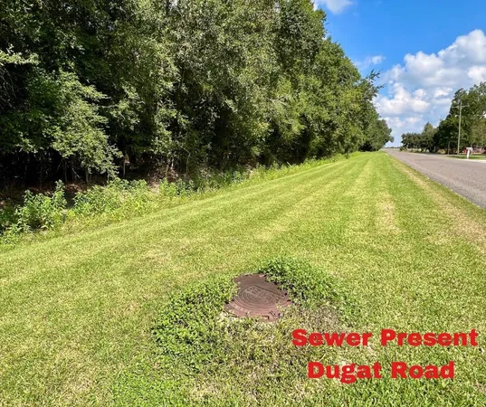 a view of a back yard