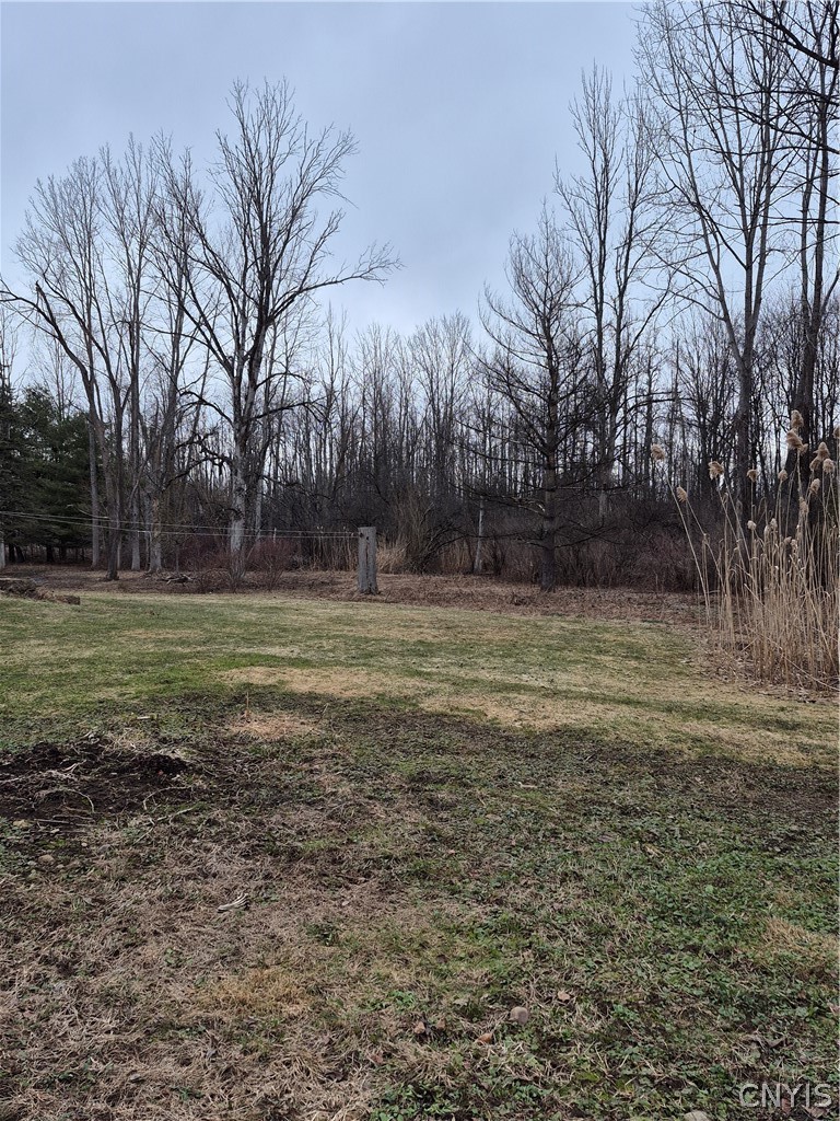 5620 Jenkins Road Westmoreland, NY 13440 - Photo 24 of 39