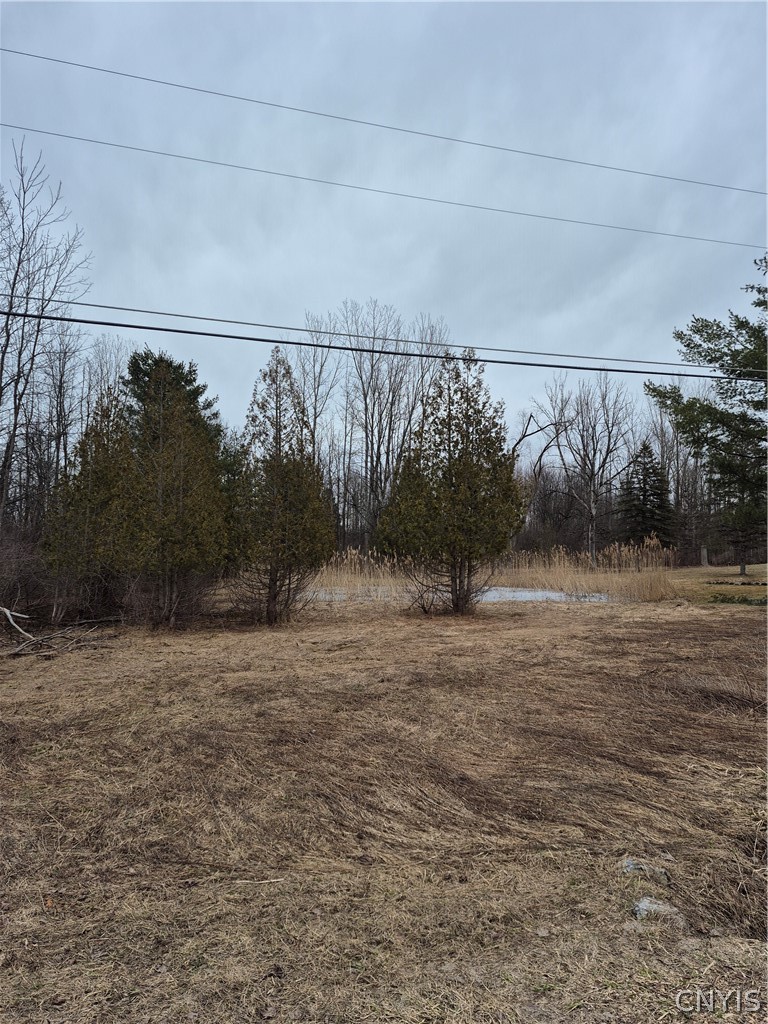 5620 Jenkins Road Westmoreland, NY 13440 - Photo 25 of 39