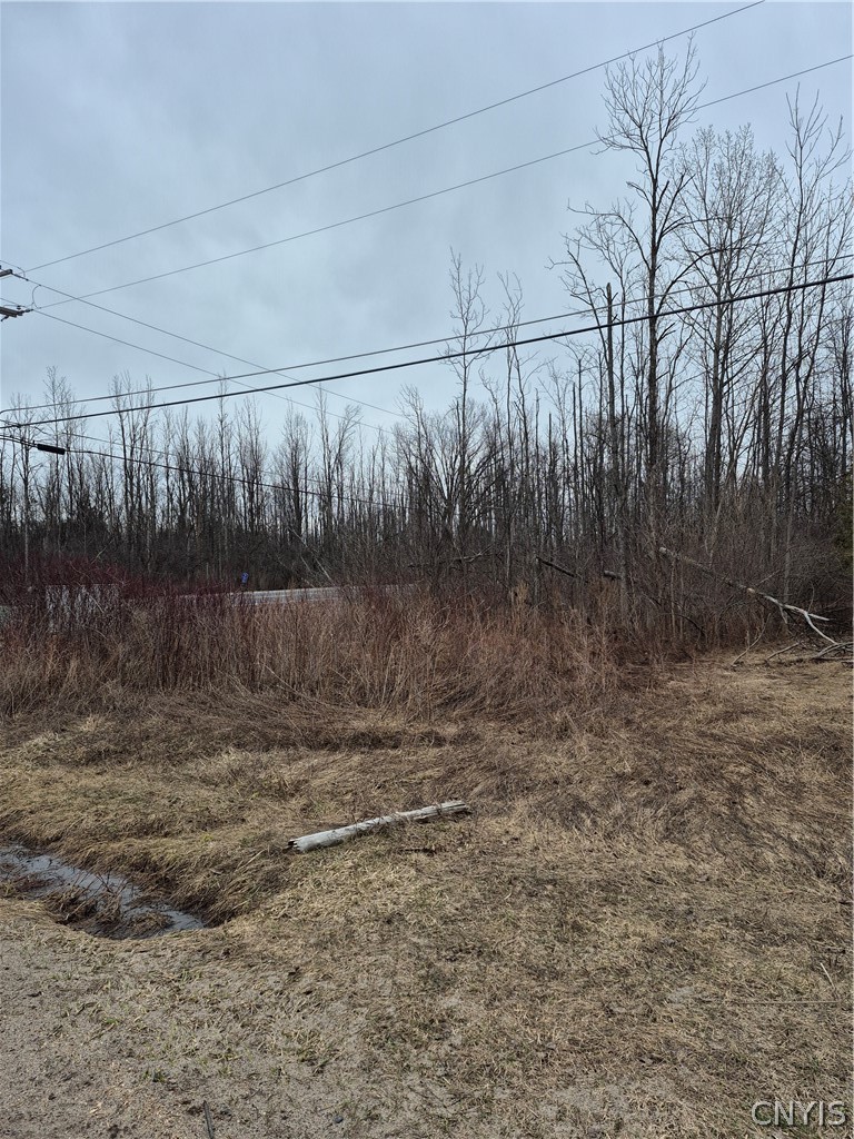 5620 Jenkins Road Westmoreland, NY 13440 - Photo 28 of 39