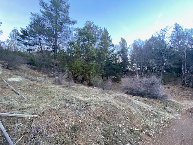 960 Democrat Gulch Road Weaverville, CA 96093 - Photo 3 of 8 Democrat (2)