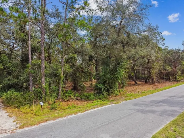 a view of swimming pool with large trees