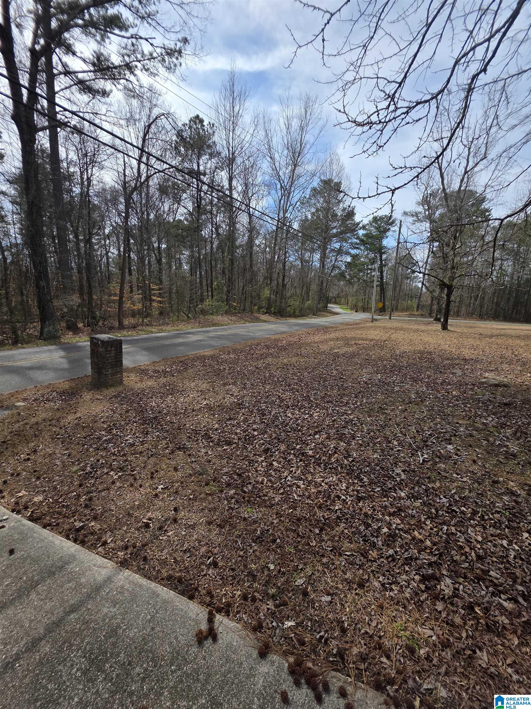 8527 Manley Vines Camp Road Bessemer, AL 35023 - Photo 4 of 4