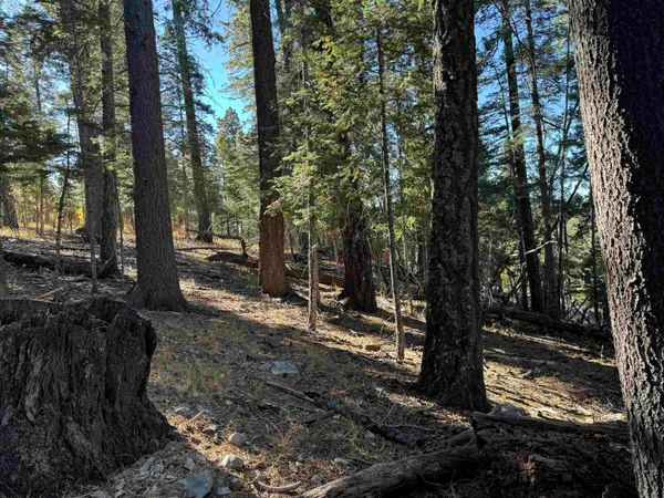 $45,500 | 800 Shells Lane, Cloudcroft, NM 88317