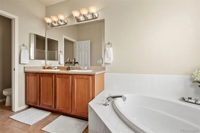 a bathroom with a tub sink and mirror