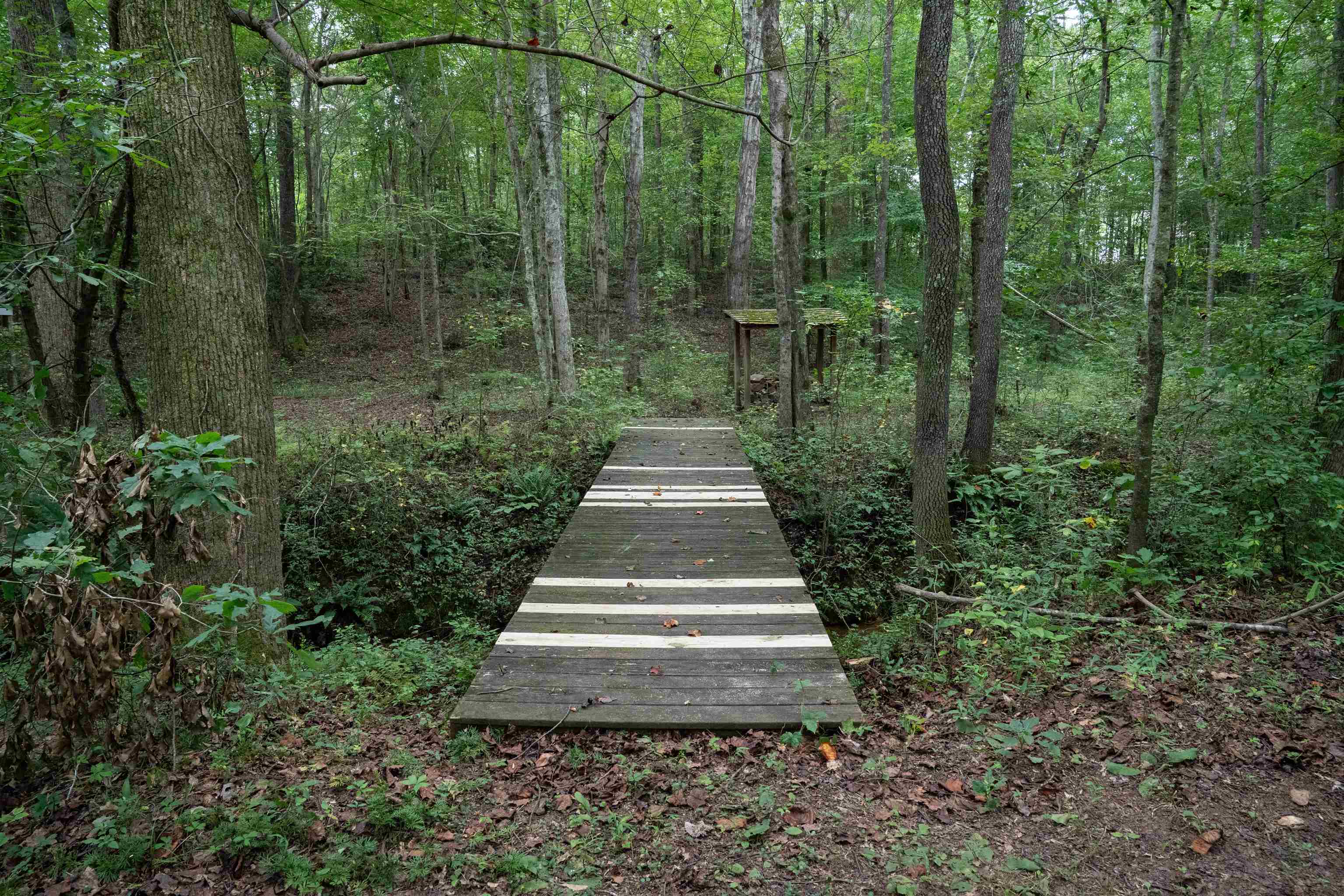 4988 Highway 14 Landrum, SC 29356 - Photo 35 of 43