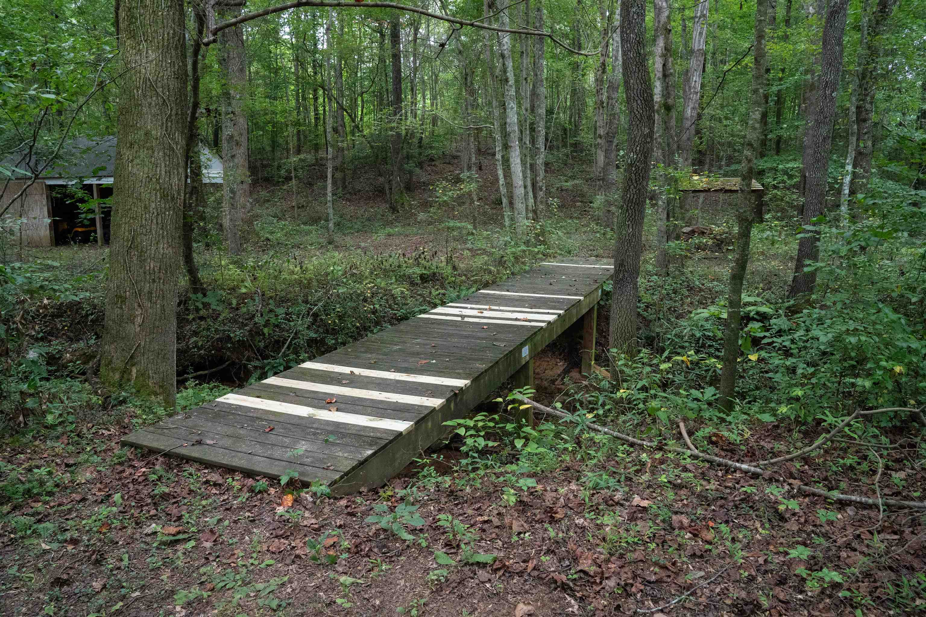 4988 Highway 14 Landrum, SC 29356 - Photo 36 of 43