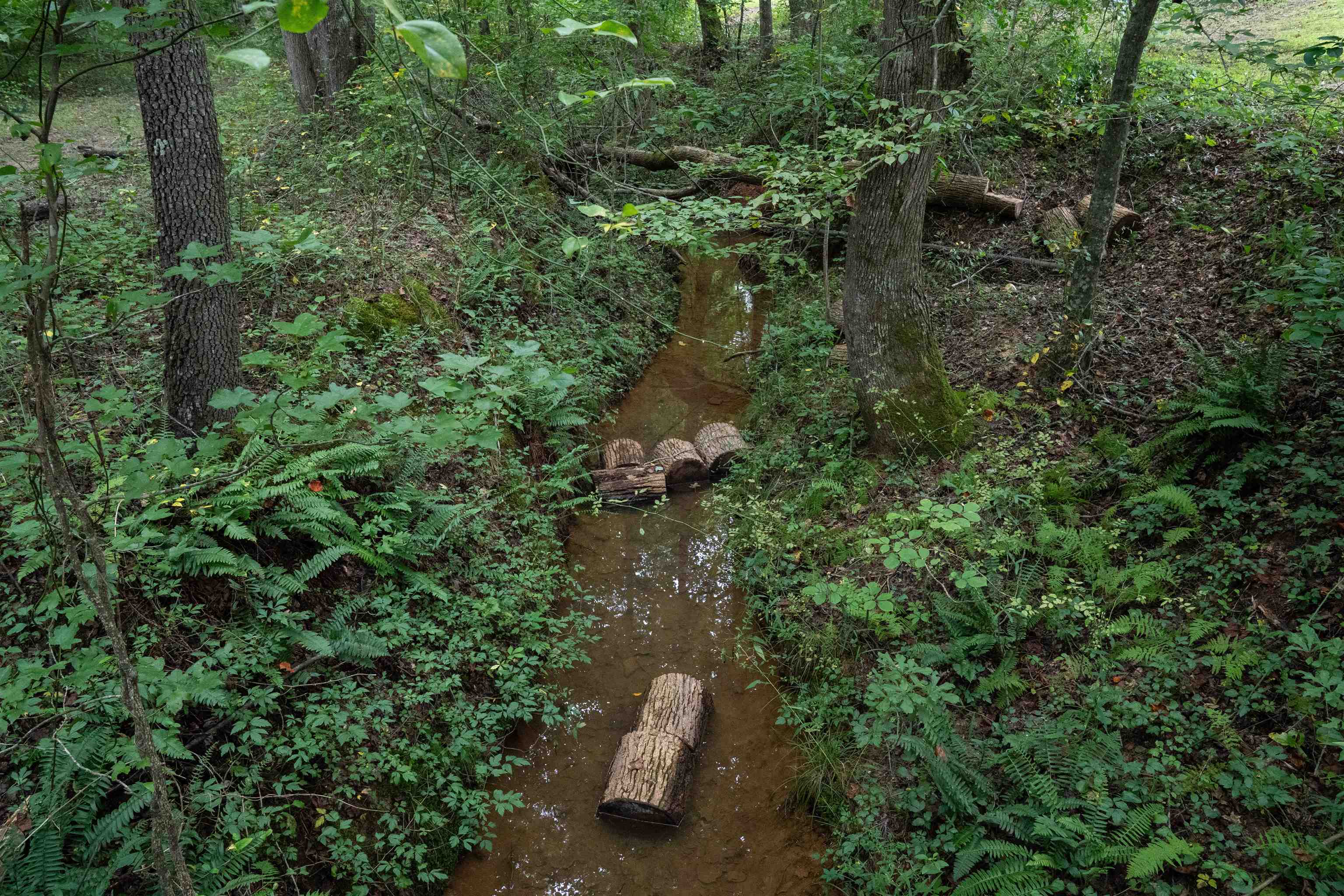 4988 Highway 14 Landrum, SC 29356 - Photo 37 of 43
