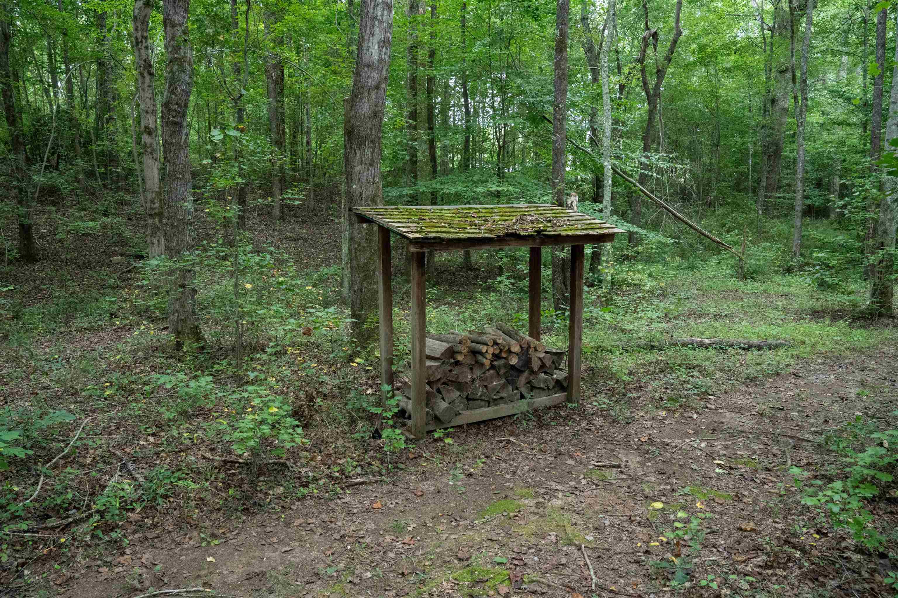 4988 Highway 14 Landrum, SC 29356 - Photo 38 of 43