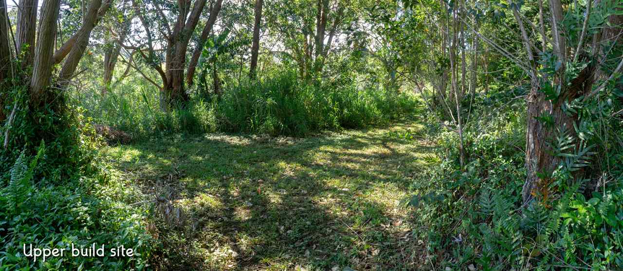 471 A Ulumalu Road, Unit A Haiku, HI 96708 - Photo 3 of 18 a view of a lush green forest