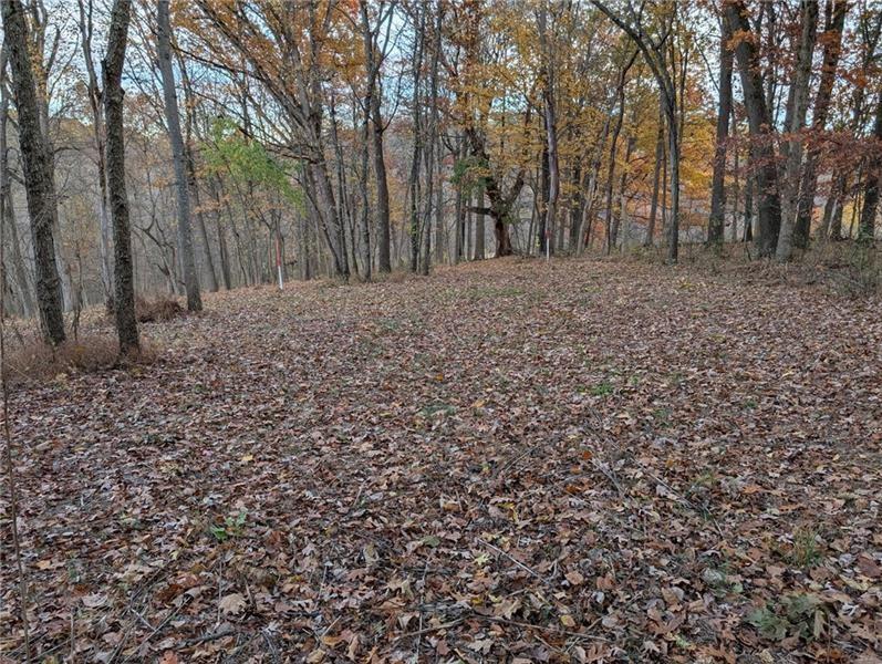 Lot 4 A Sugar Run Road Eighty Four, PA 15330 - Photo 11 of 13