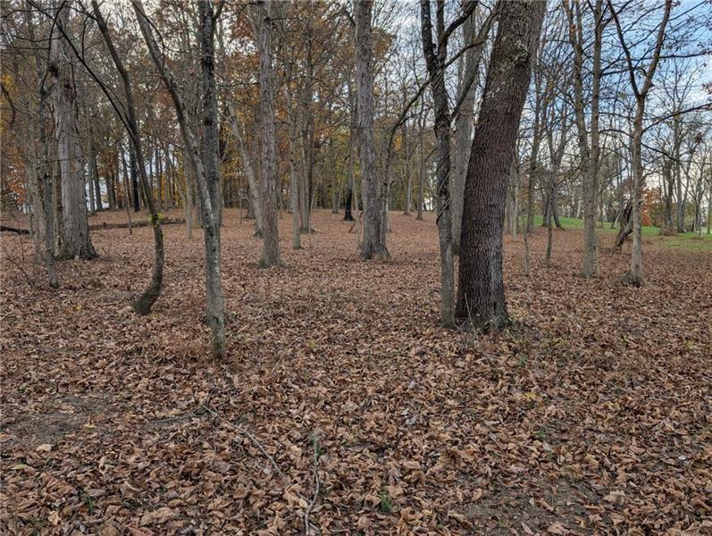 Lot 4 A Sugar Run Road Eighty Four, PA 15330 - Photo 10 of 13