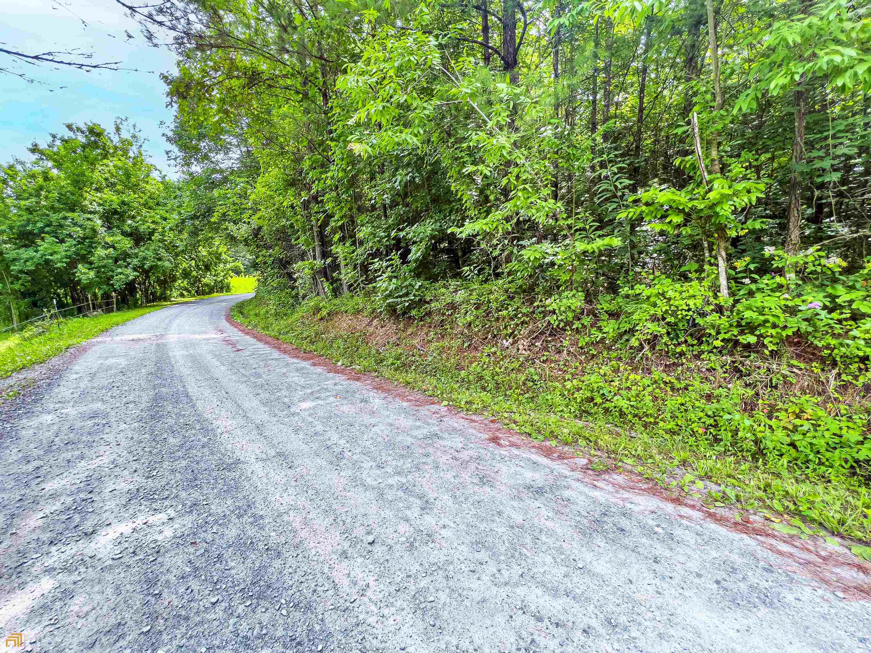 13.26 Sisson Road Ellijay, GA 30540 - Photo 1 of 1 Gallery Image 1