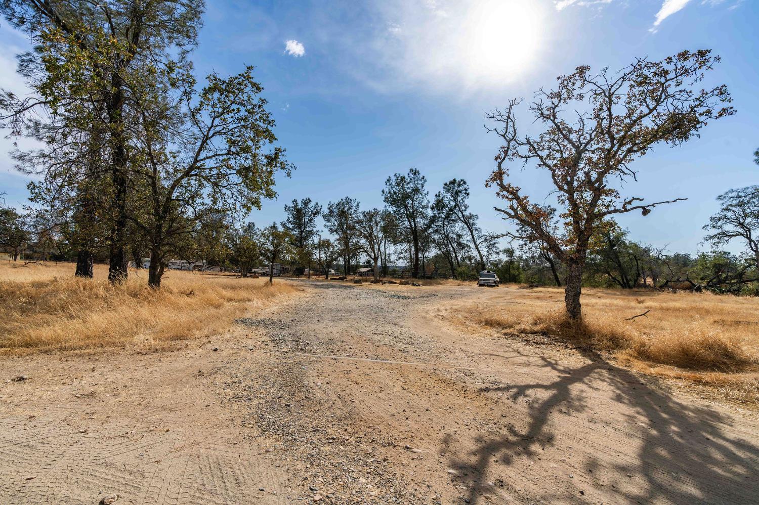 12874 Stedman Ranch Road Burson, CA 95225 - Photo 3 of 19 a view of outdoor space with trees