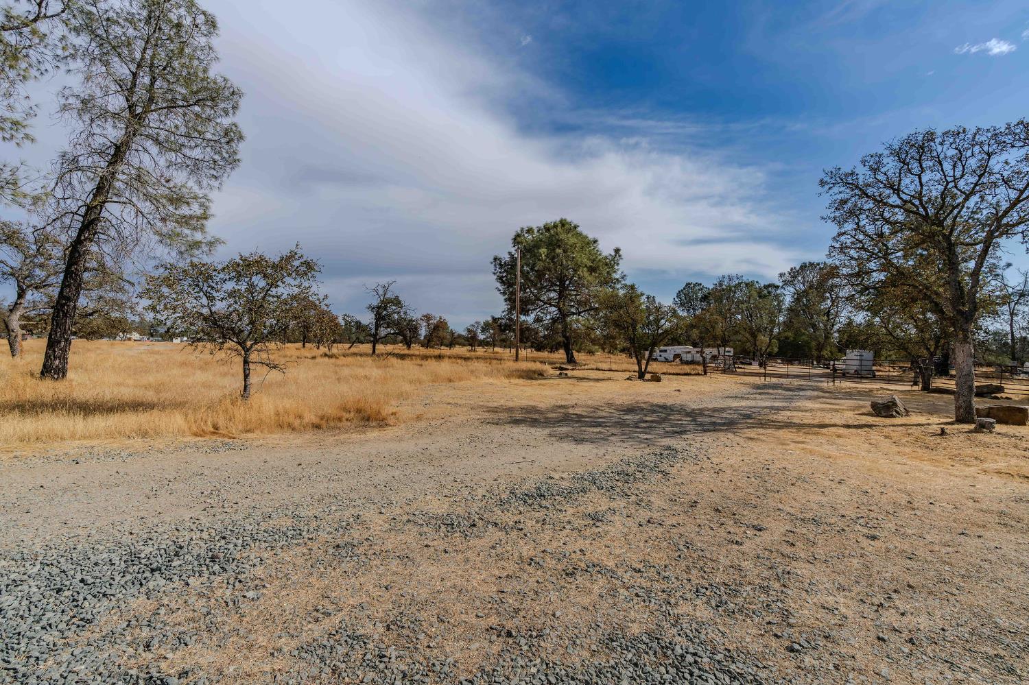 12874 Stedman Ranch Road Burson, CA 95225 - Photo 5 of 19 a view of dirt field with trees