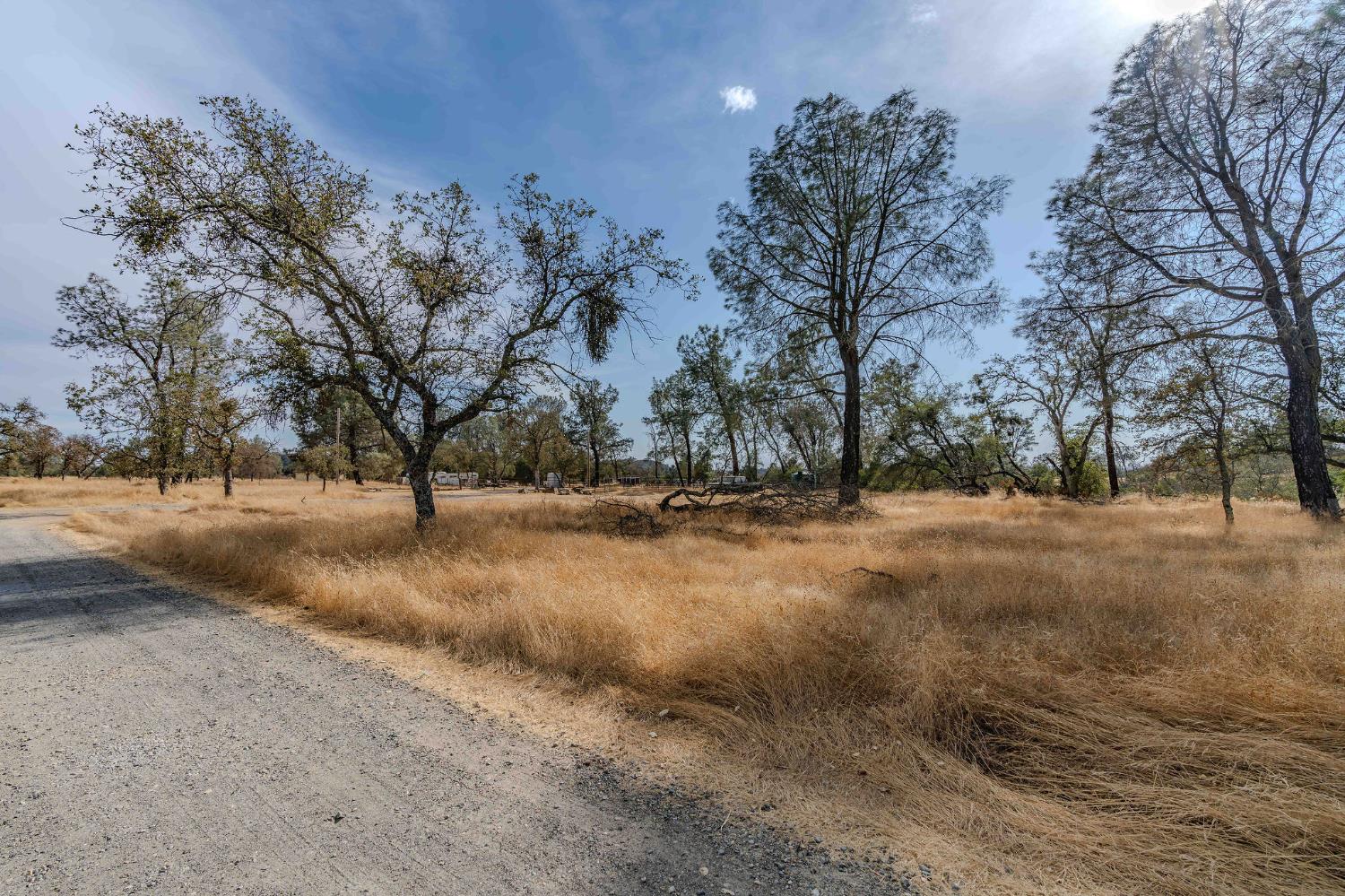 12874 Stedman Ranch Road Burson, CA 95225 - Photo 6 of 19 a view of outdoor space with trees