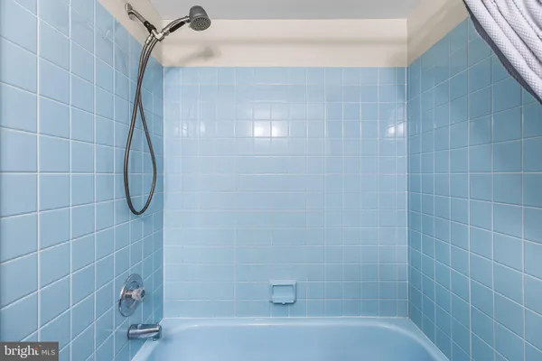 a bathroom with a shower and a bathtub