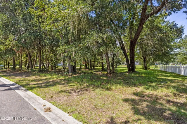 a view of a yard with trees