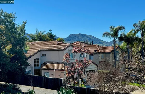 a view of a house with a yard and potted plants