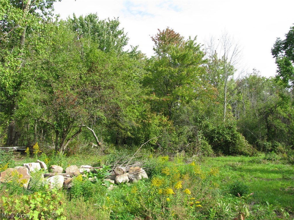 V/l Sumner Road Thompson, OH 44086 - Photo 9 of 17