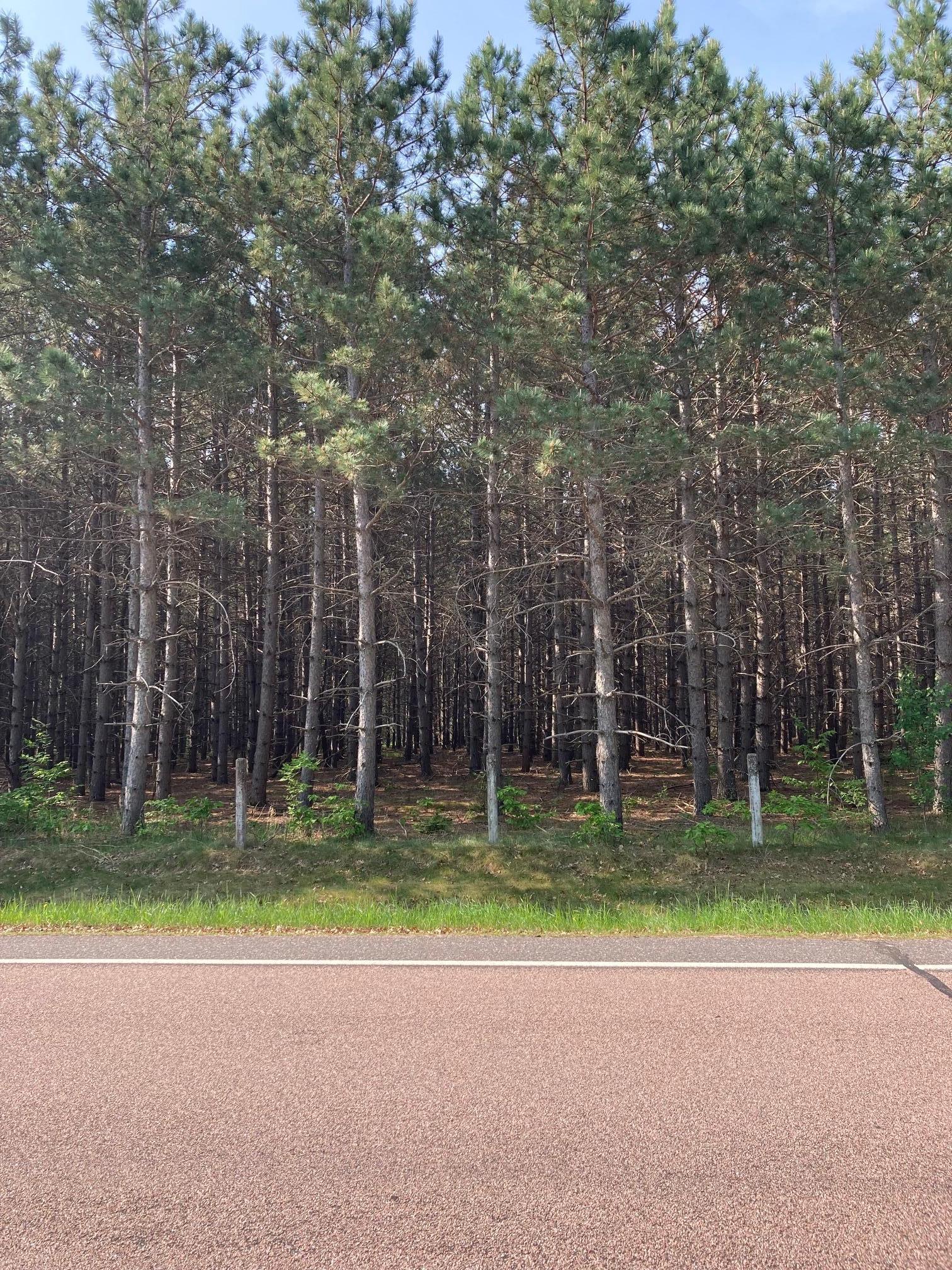 Lot 7 Fawn Lake Road Crosslake, MN 56442 - Photo 3 of 5