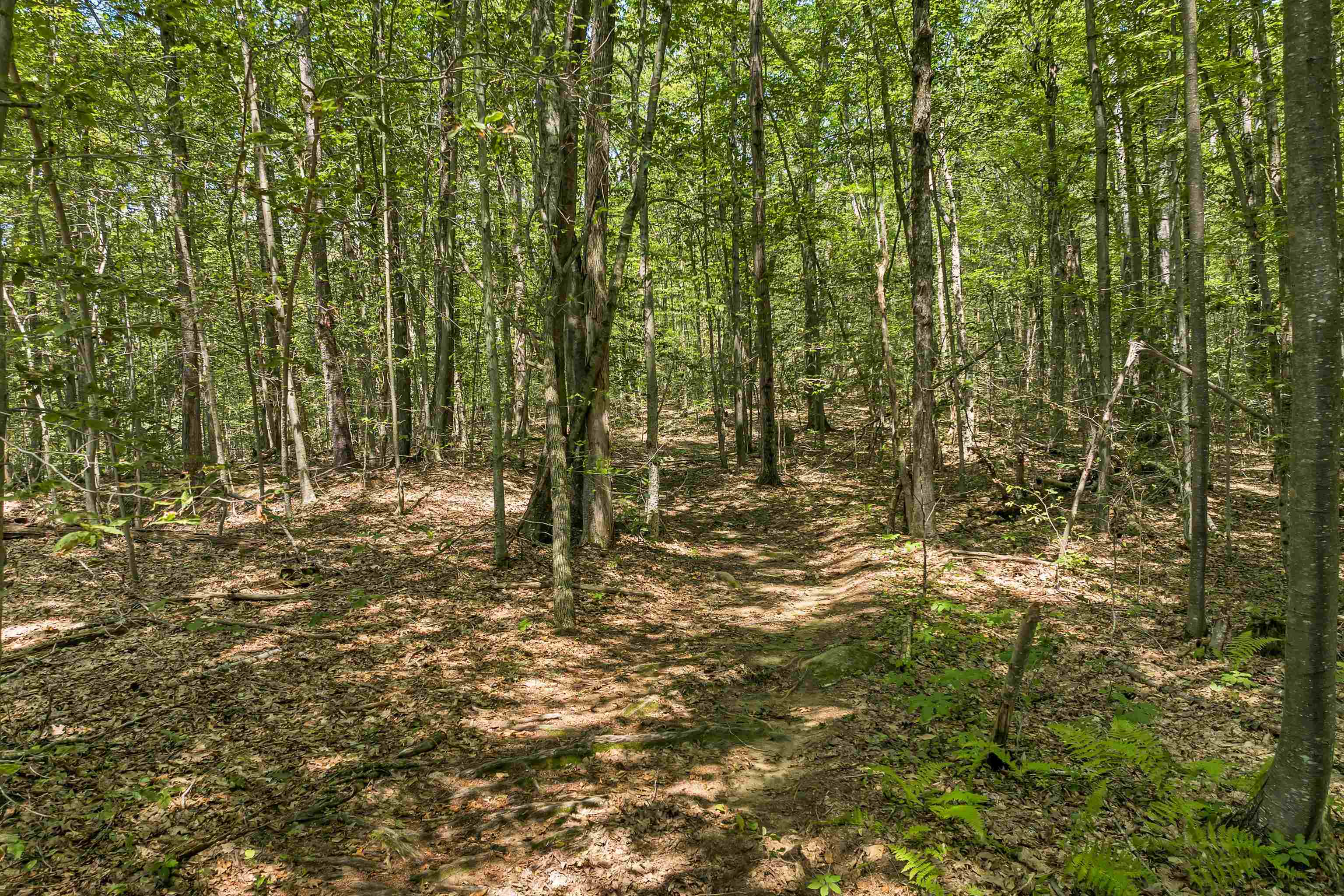 101-125 Winslow Road Weare, NH 03281 - Photo 10 of 22