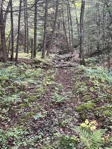 $45,000 | 0 Newport Road, Utica, NY 13502