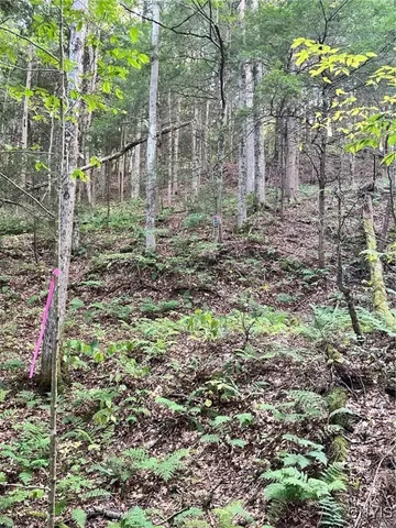 $45,000 | 0 Newport Road, Utica, NY 13502