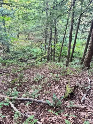 $45,000 | 0 Newport Road, Utica, NY 13502