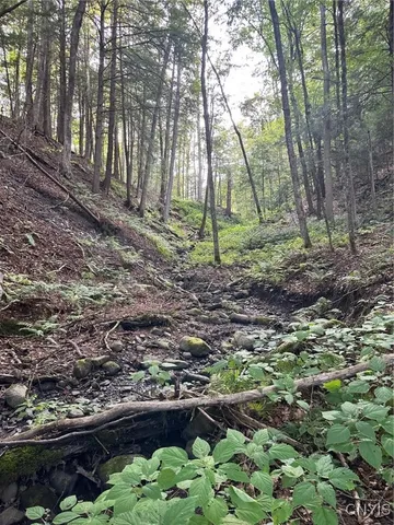 $45,000 | 0 Newport Road, Utica, NY 13502