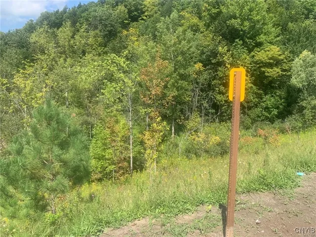 $45,000 | 0 Newport Road, Utica, NY 13502