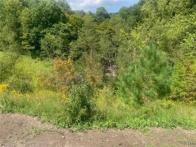 $45,000 | 0 Newport Road, Utica, NY 13502