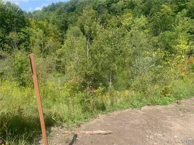 $45,000 | 0 Newport Road, Utica, NY 13502