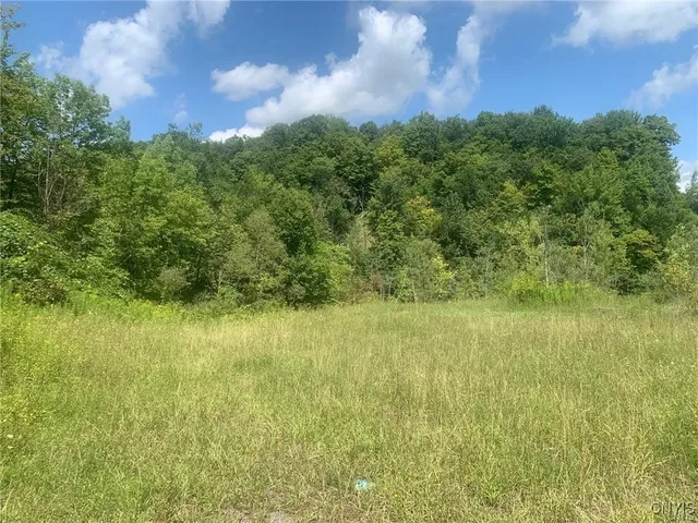 $45,000 | 0 Newport Road, Utica, NY 13502