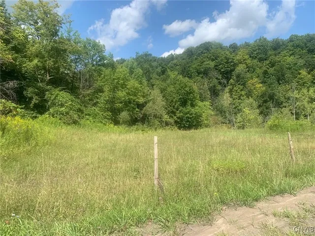 $45,000 | 0 Newport Road, Utica, NY 13502