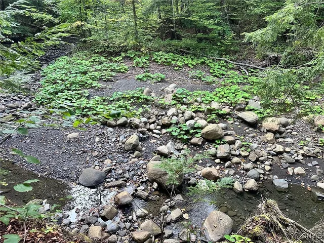 $45,000 | 0 Newport Road, Utica, NY 13502