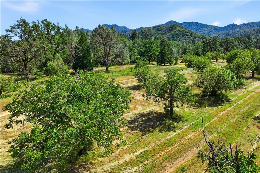22550 Shady Grove Road Middletown, CA 95461 - Photo 57 of 68