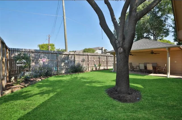 a view of a garden with a tree