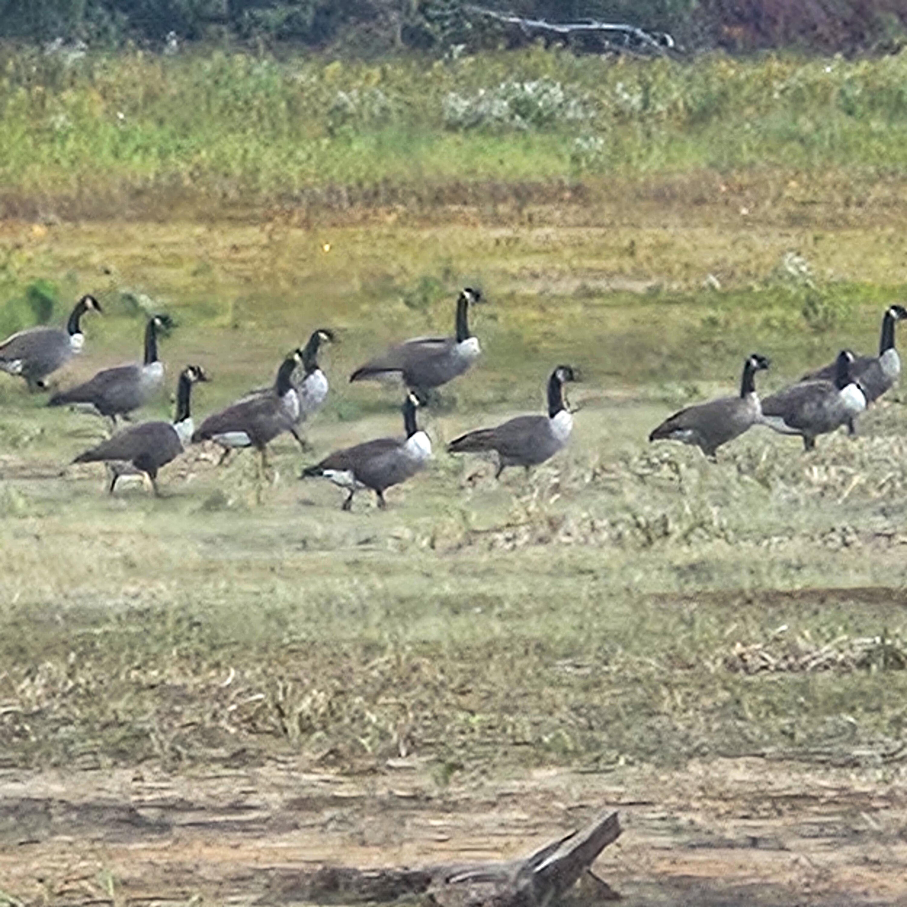 206 Morrison Farm Road Mariaville, ME 04605 - Photo 11 of 28 20250924_105635