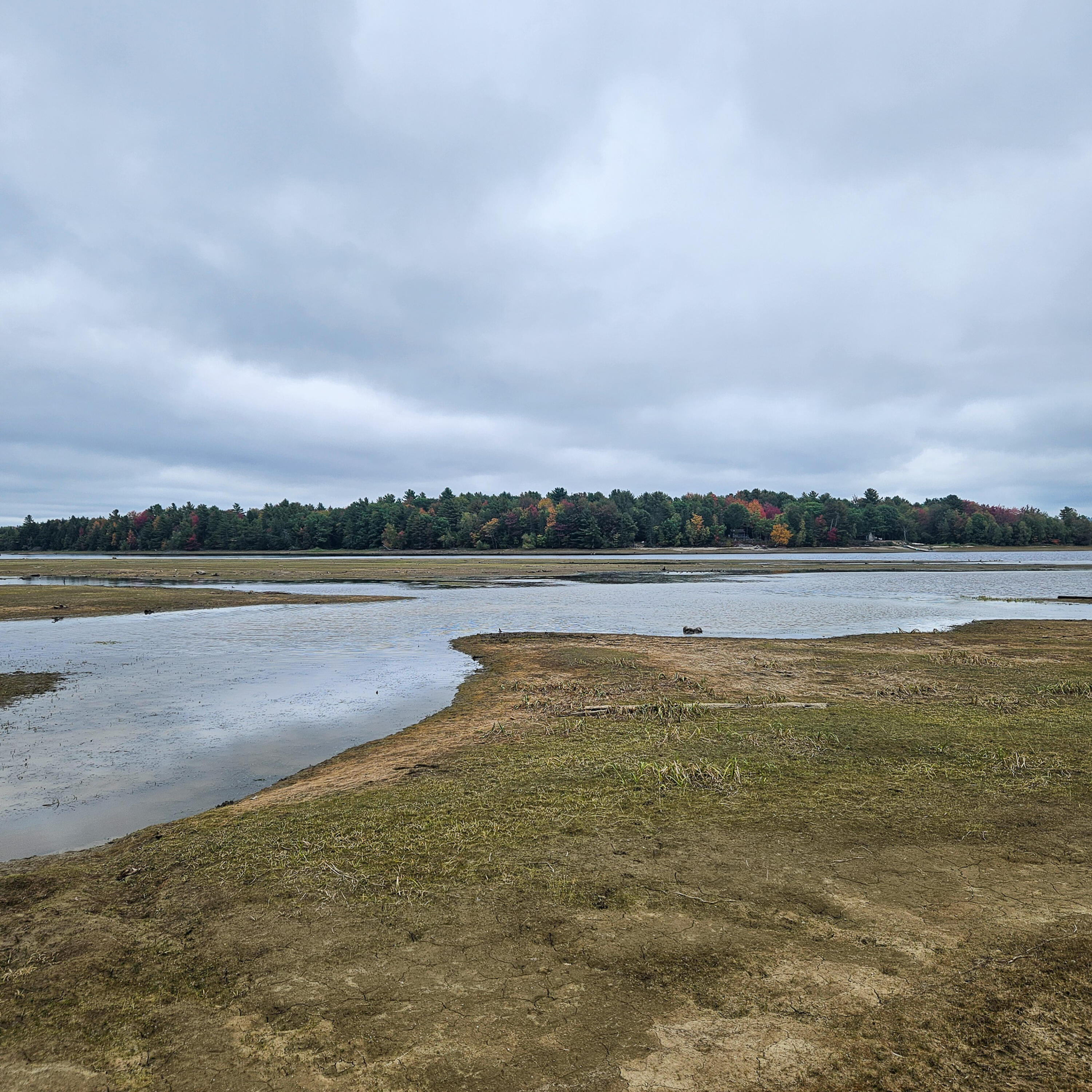 206 Morrison Farm Road Mariaville, ME 04605 - Photo 14 of 28 20250924_105936
