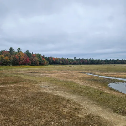 $50,000 | 206 Morrison Farm Road, Mariaville, ME 04605