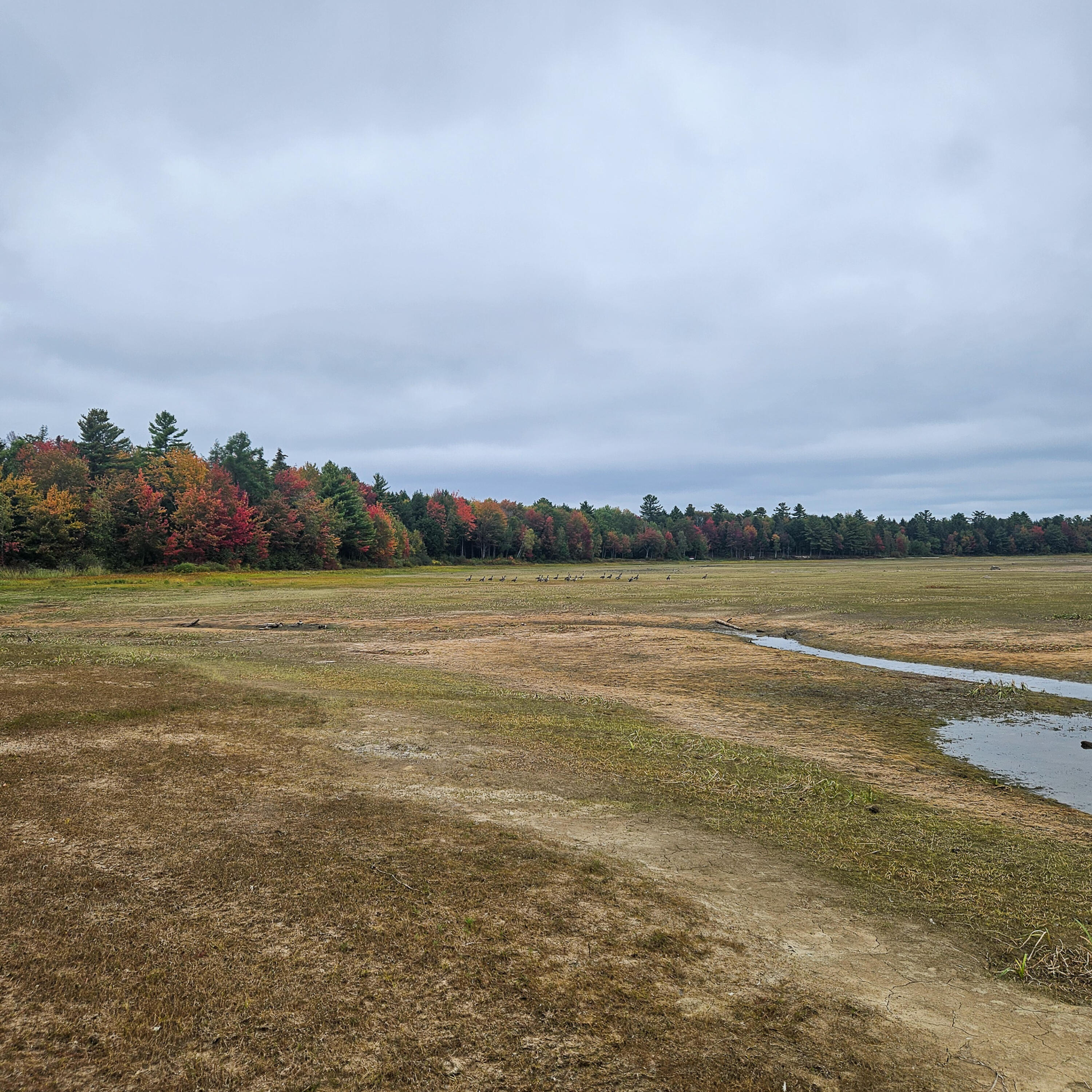 206 Morrison Farm Road Mariaville, ME 04605 - Photo 16 of 28 20250924_105944
