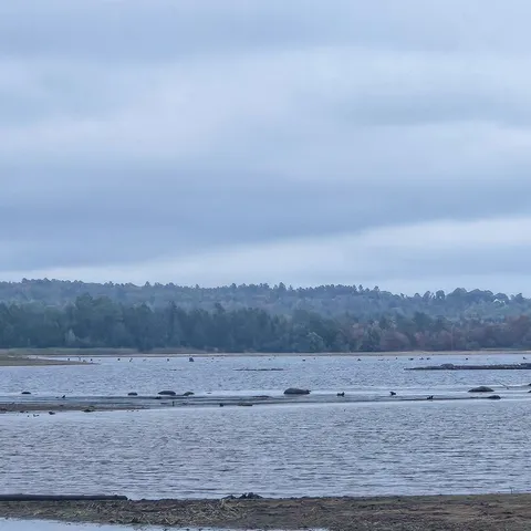 $50,000 | 206 Morrison Farm Road, Mariaville, ME 04605