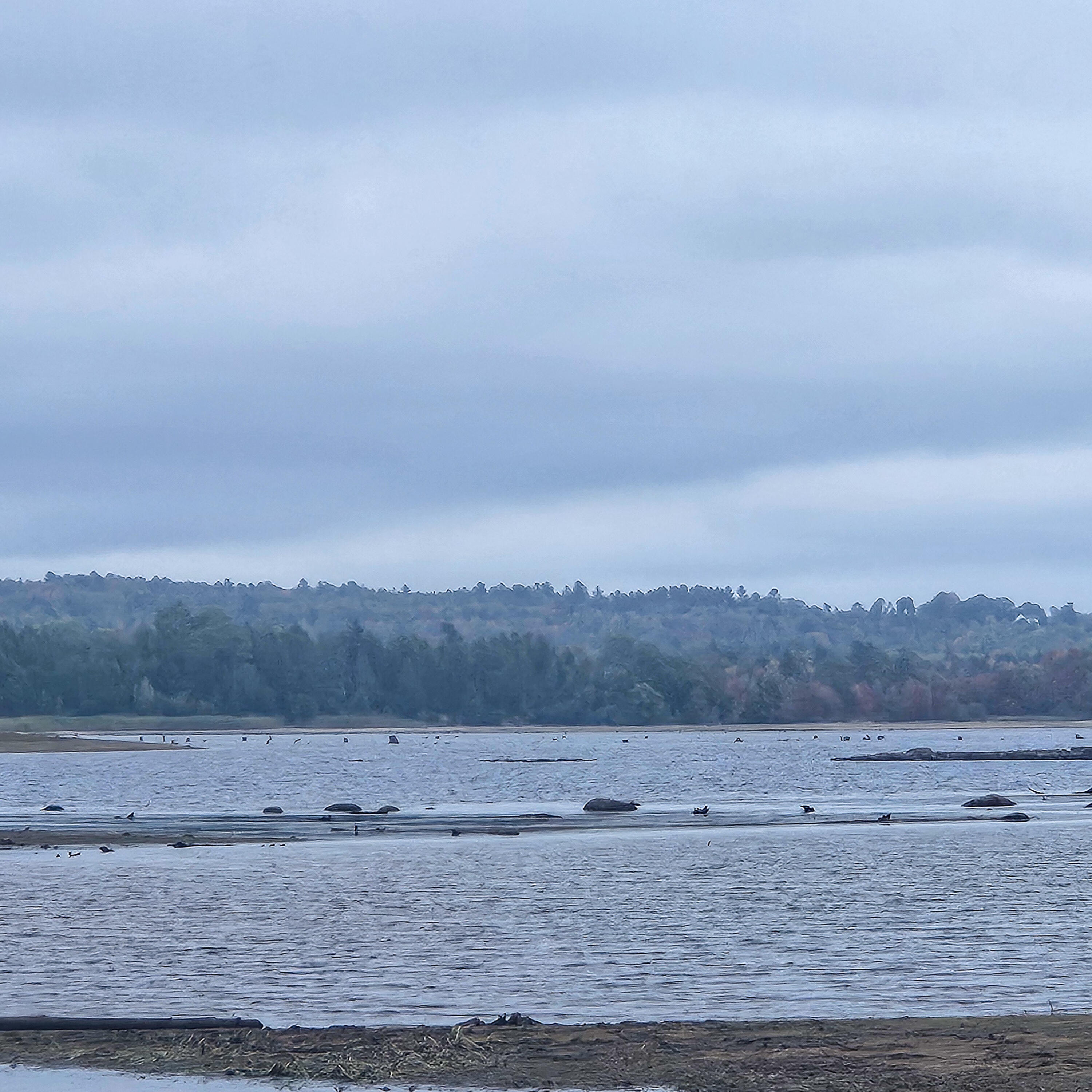 206 Morrison Farm Road Mariaville, ME 04605 - Photo 17 of 28 20250924_110056