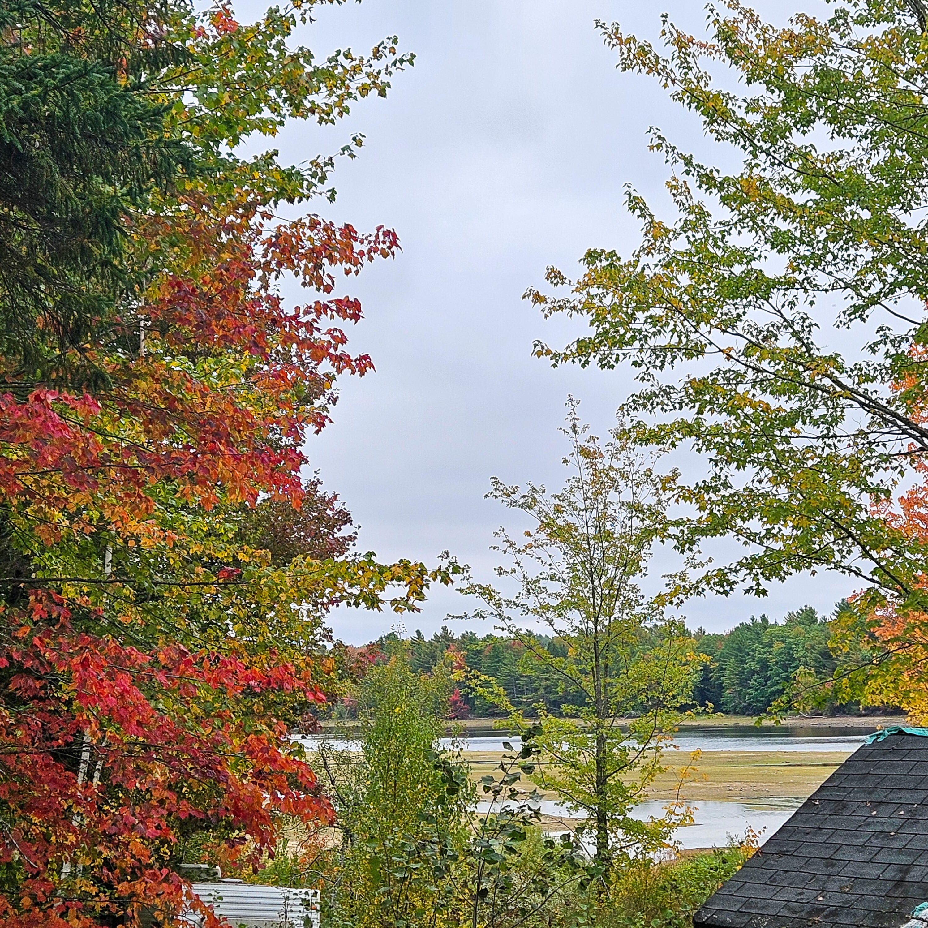 206 Morrison Farm Road Mariaville, ME 04605 - Photo 25 of 28 20250924_110725