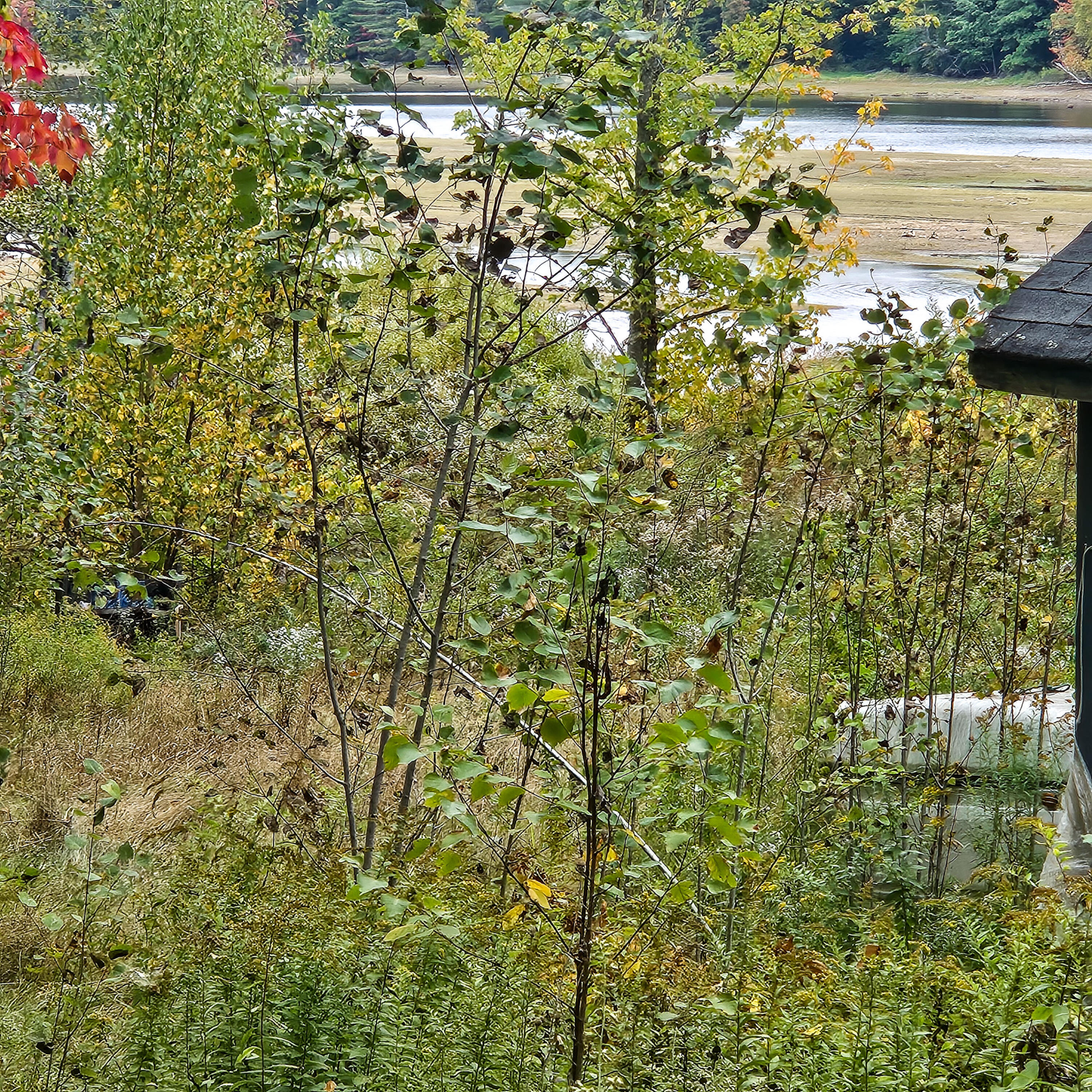 206 Morrison Farm Road Mariaville, ME 04605 - Photo 26 of 28 20250924_110733