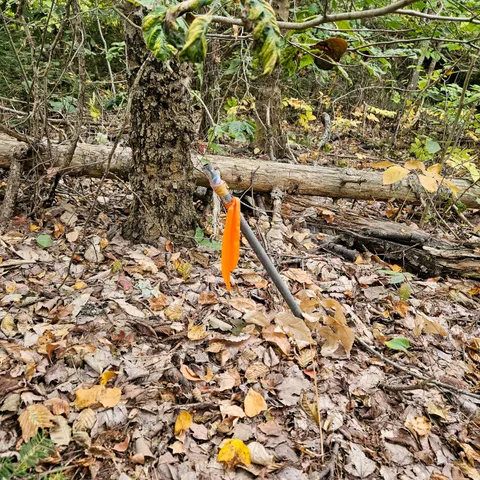 $50,000 | 206 Morrison Farm Road, Mariaville, ME 04605