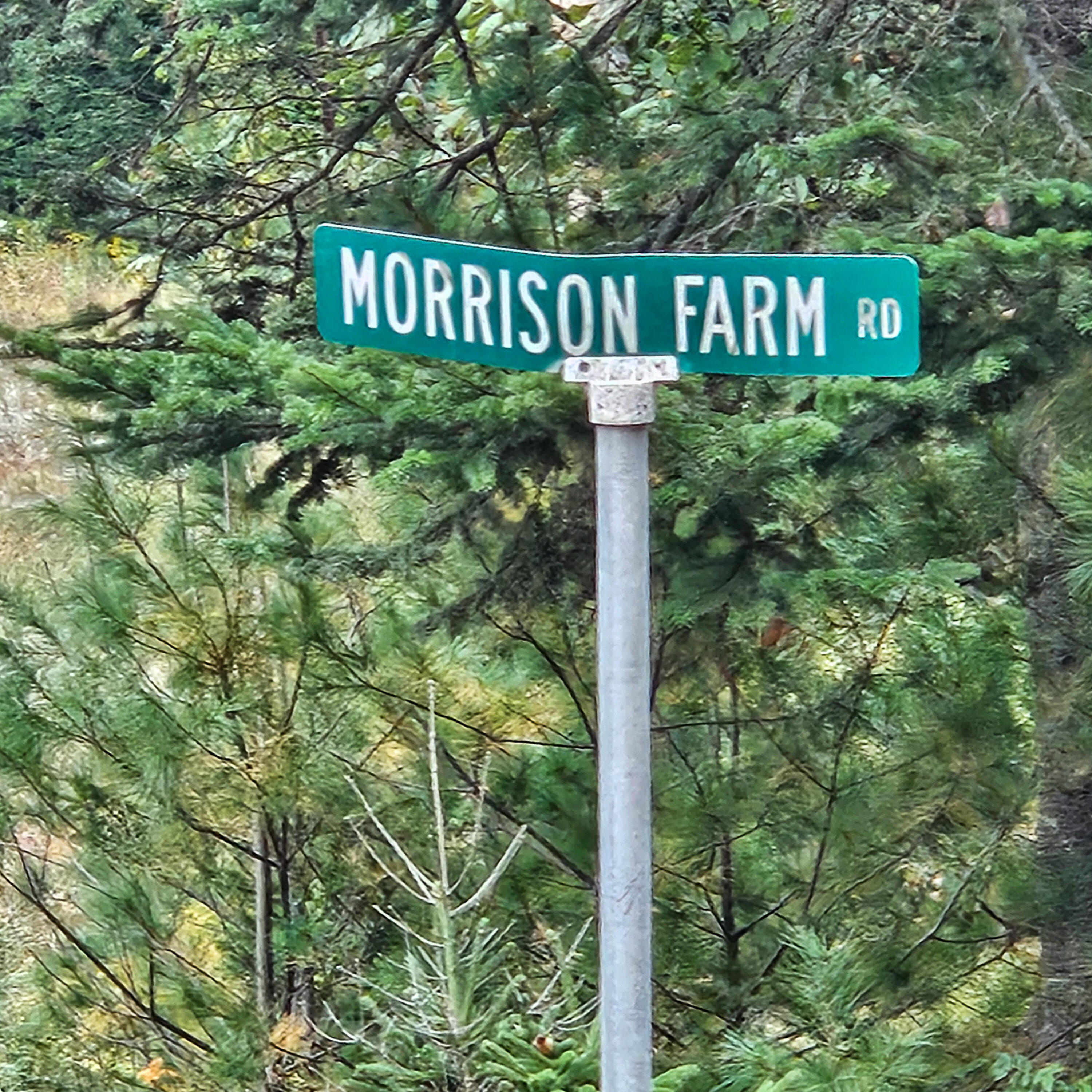 206 Morrison Farm Road Mariaville, ME 04605 - Photo 28 of 28 20250924_111707